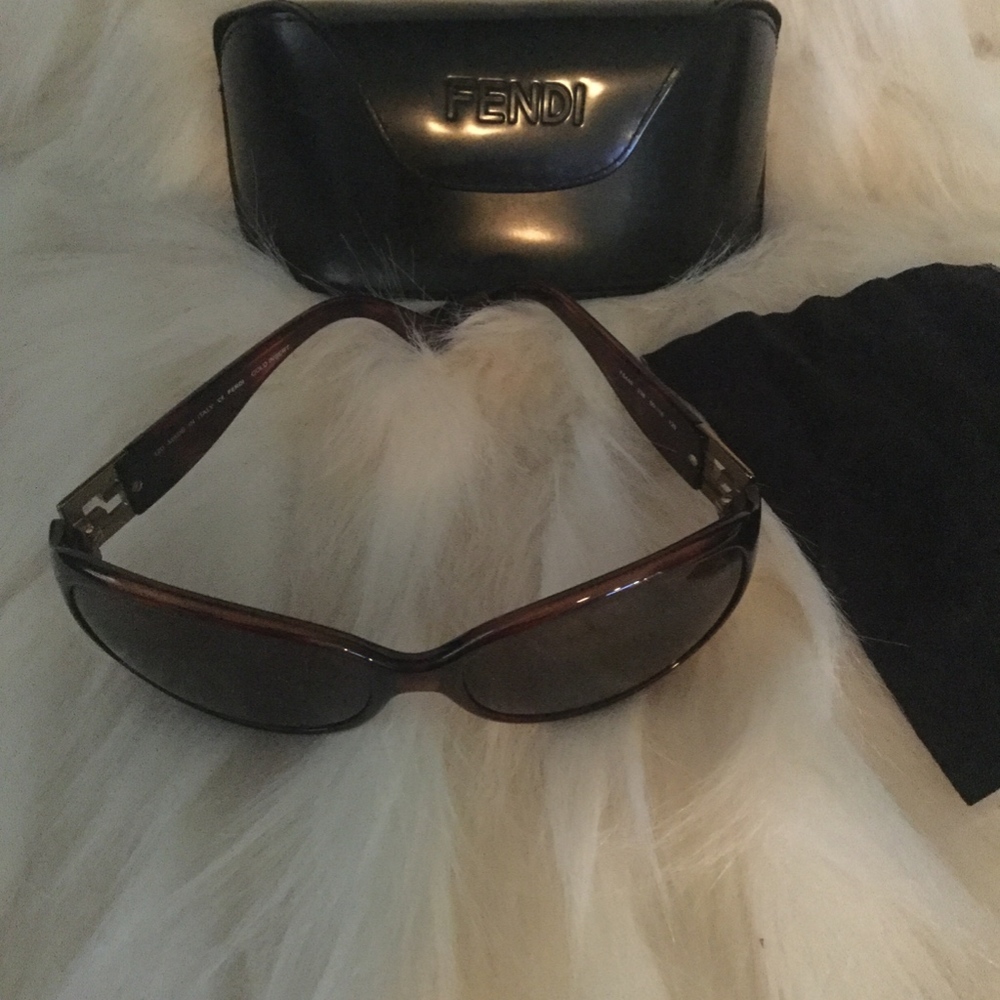 Fendi Sunglasses Cold Insert - image 4